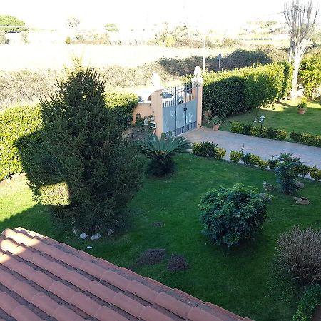 B&B Villa Elema Неттуно Экстерьер фото